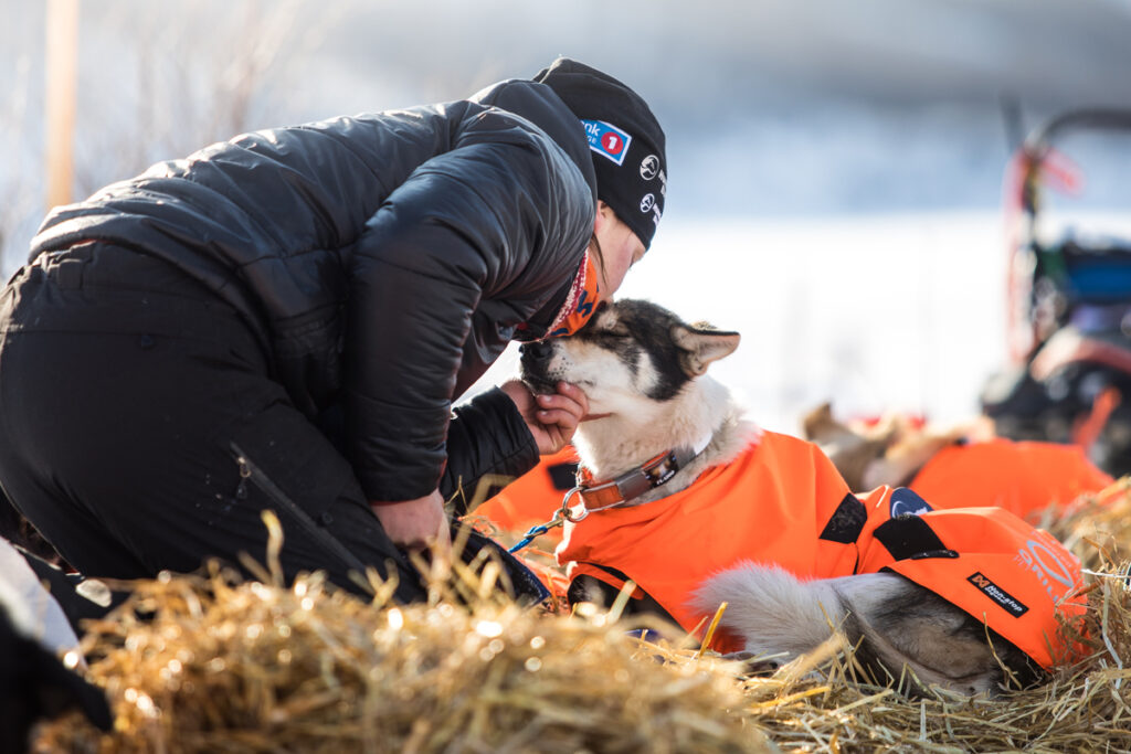 Hundlöparen och Appetitambassadören Marit Beate Kasin kysser sin Alaska Husky på huvudet efter en löprunda.  Hunden ligger i höet med värmefilten på.